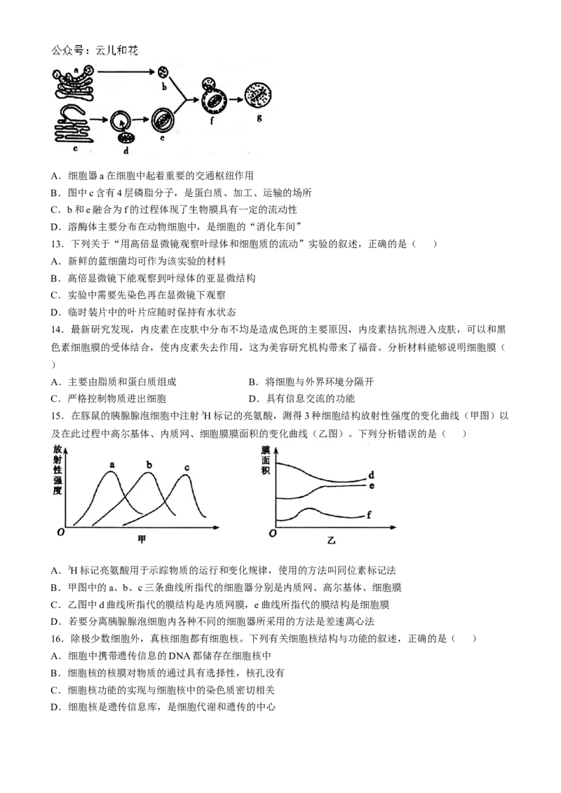 山西省大同市2024-2025学年高一上学期11月期中考试生物试题（含答案）_2024-2025高一（7-7月题库）_2024年12月试卷_1201山西省大同市2024-2025学年高一上学期11月期中考试