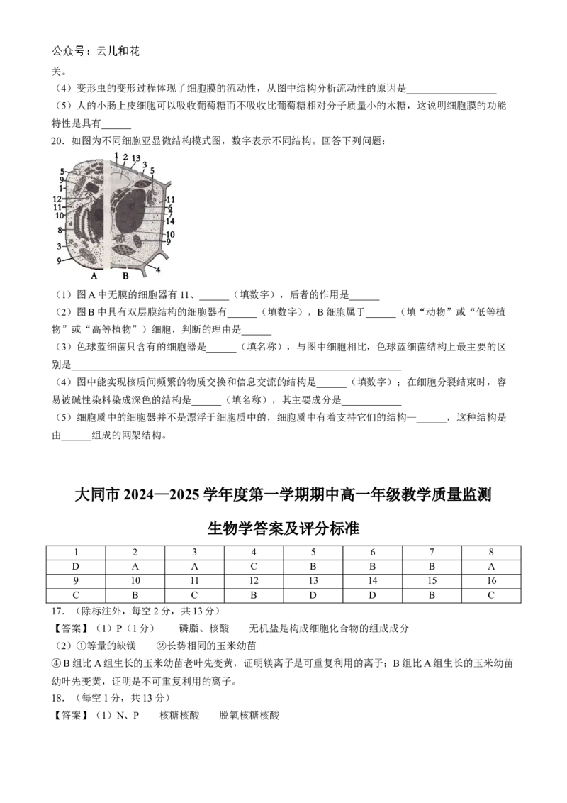 山西省大同市2024-2025学年高一上学期11月期中考试生物试题（含答案）_2024-2025高一（7-7月题库）_2024年12月试卷_1201山西省大同市2024-2025学年高一上学期11月期中考试