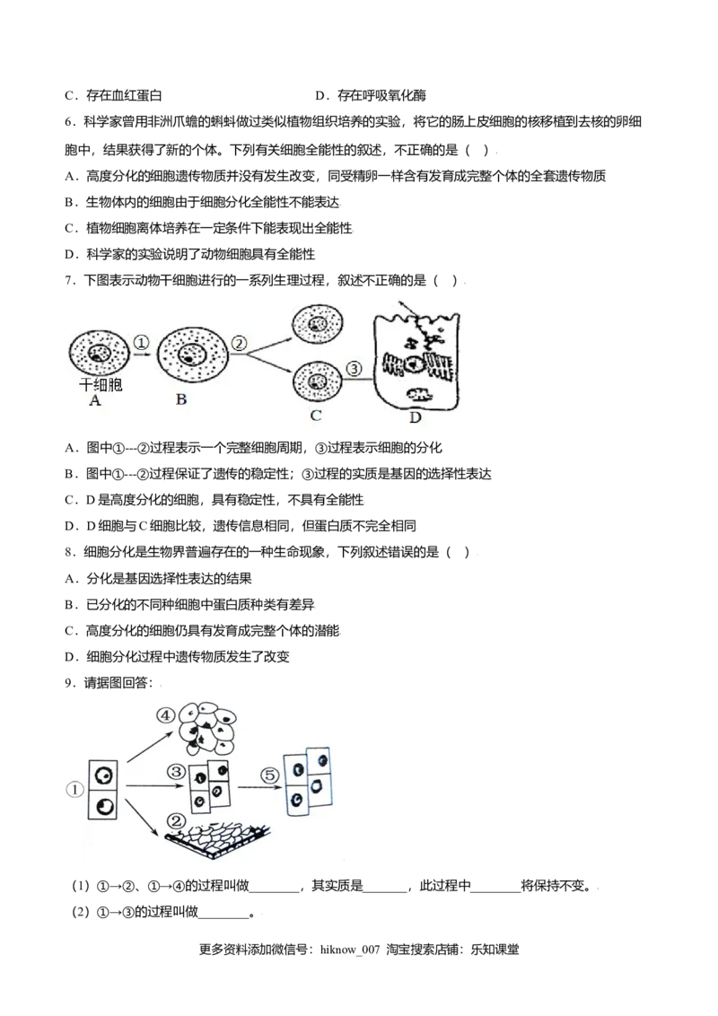 6.2细胞的分化-高一生物课后培优练（人教版2019必修1）（原卷版）_E015高中全科试卷_生物试题_必修1_2.同步练习_3.同步练习（第三套）