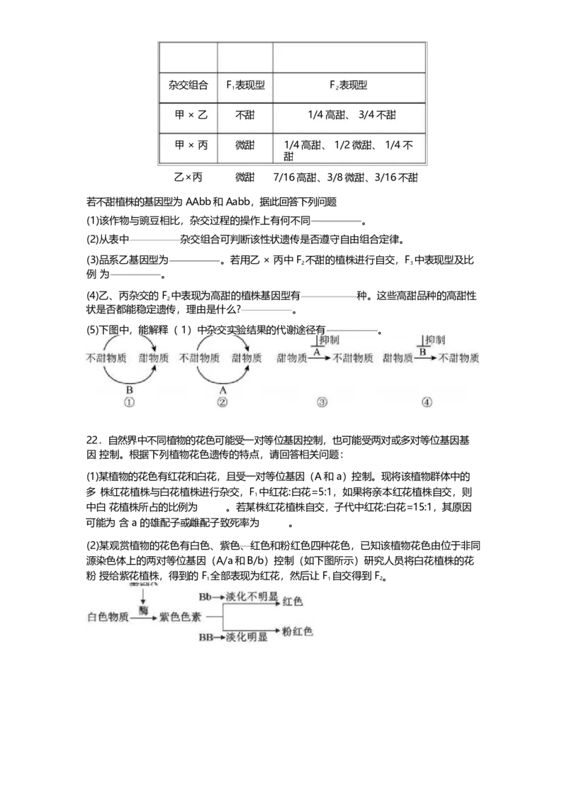 山东师范大学附属中学2024-2025学年高一下学期4月期中考试生物试卷（含答案）_2024-2025高一（7-7月题库）_2025年05月试卷_0517山东师范大学附属中学2024-2025学年高一下学期4月期中考试