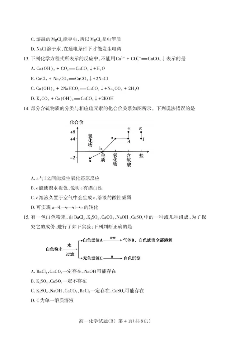 山东省泰安市2024-2025学年高一上学期期末考试化学（B）试卷（PDF版，含答案）_2024-2025高一（7-7月题库）_2025年02月试卷_0226山东省泰安市2024-2025学年高一上学期期末考试
