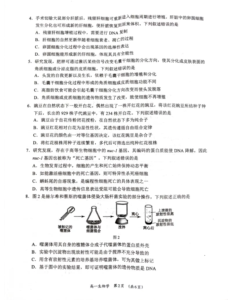广西柳州市2024-2025学年高一下学期4月联考生物试卷（无答案）_2024-2025高一（7-7月题库）_2025年05月试卷_0516广西柳州市2024-2025学年高一下学期4月联考