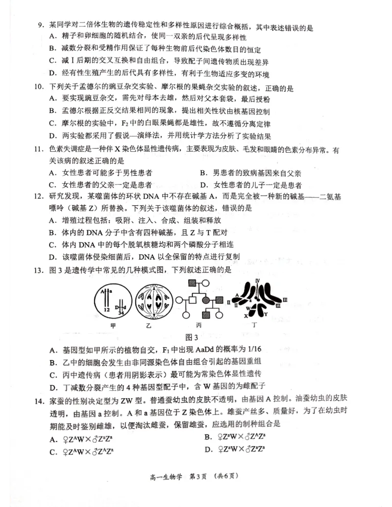 广西柳州市2024-2025学年高一下学期4月联考生物试卷（无答案）_2024-2025高一（7-7月题库）_2025年05月试卷_0516广西柳州市2024-2025学年高一下学期4月联考