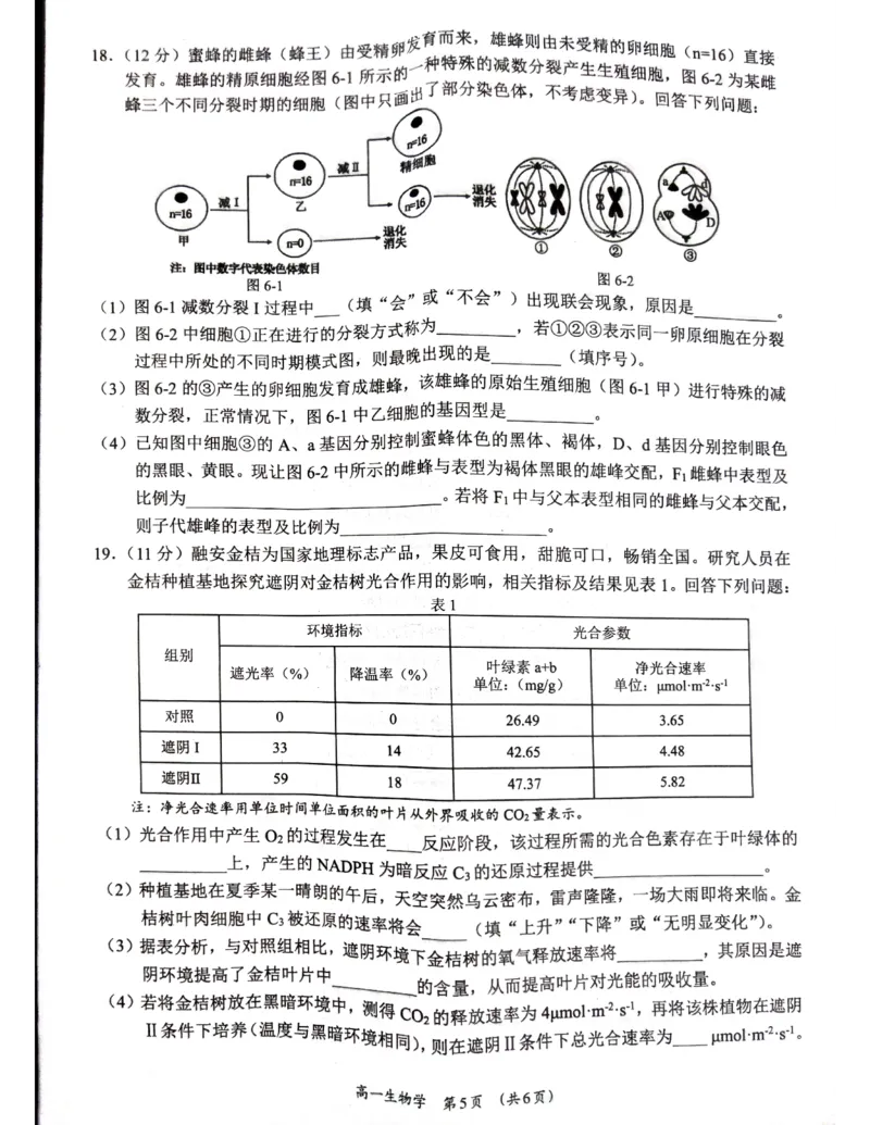 广西柳州市2024-2025学年高一下学期4月联考生物试卷（无答案）_2024-2025高一（7-7月题库）_2025年05月试卷_0516广西柳州市2024-2025学年高一下学期4月联考