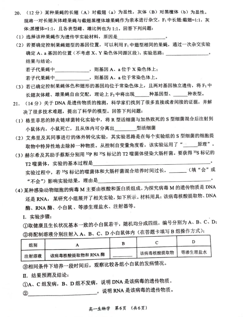 广西柳州市2024-2025学年高一下学期4月联考生物试卷（无答案）_2024-2025高一（7-7月题库）_2025年05月试卷_0516广西柳州市2024-2025学年高一下学期4月联考