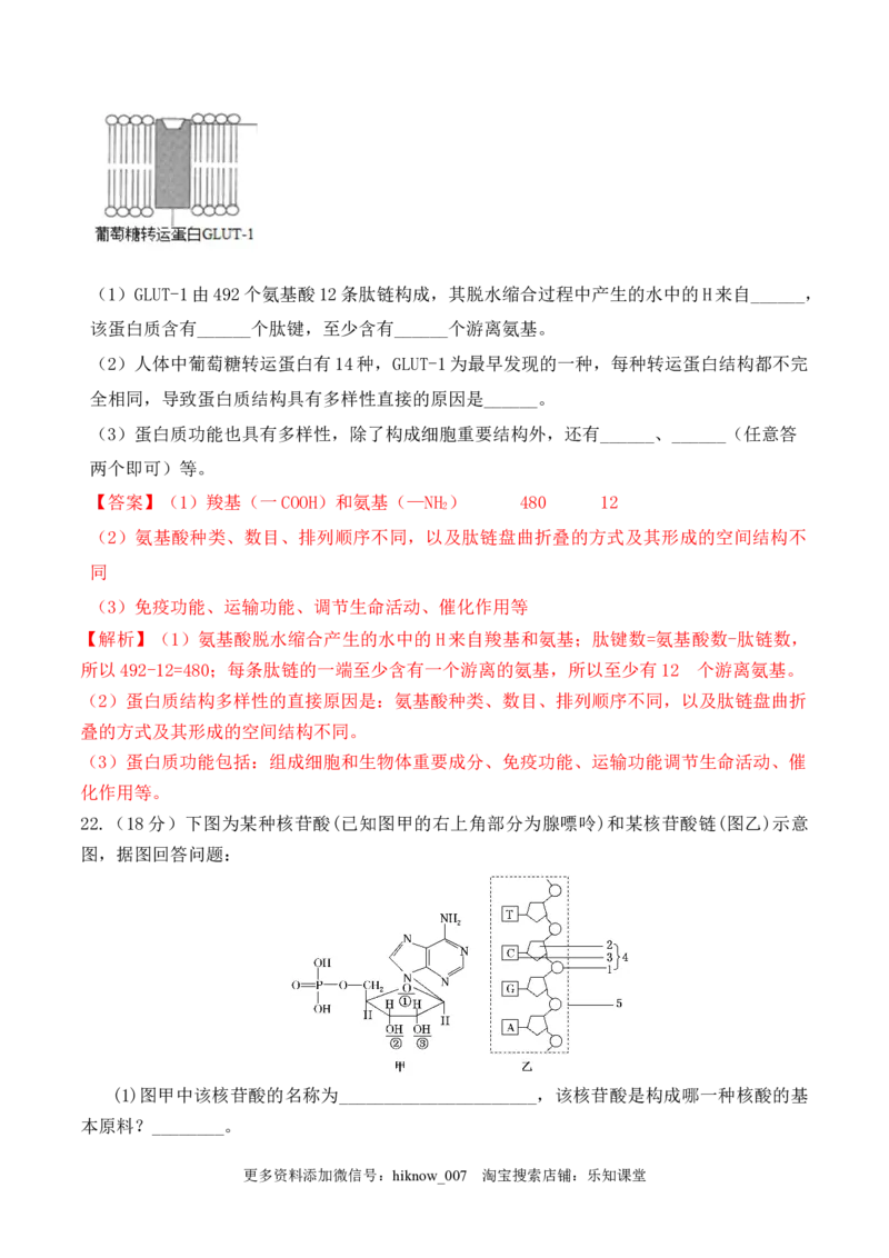 期中预测卷-2022-2023学年高一生物上学期课后培优分级练（2019人教版必修1）（解析版）_E015高中全科试卷_生物试题_必修1_2.同步练习_1.同步练习（第一套）
