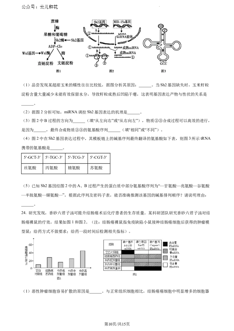 山东省泰安市2023-2024学年高一下学期7月期末考试生物试题_2024-2025高一（7-7月题库）_2024年8月试卷_0804山东省泰安市2023-2024学年高一下学期期末考试