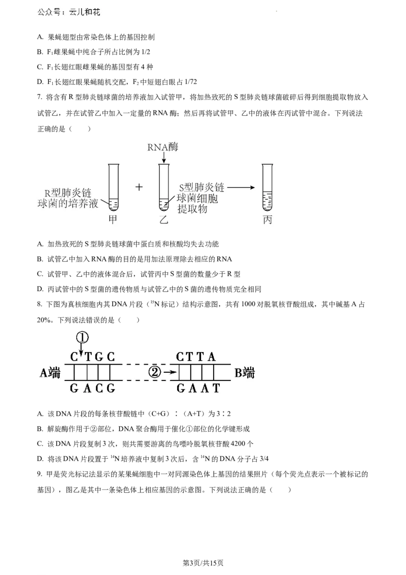 山东省泰安市2023-2024学年高一下学期7月期末考试生物试题_2024-2025高一（7-7月题库）_2024年8月试卷_0804山东省泰安市2023-2024学年高一下学期期末考试