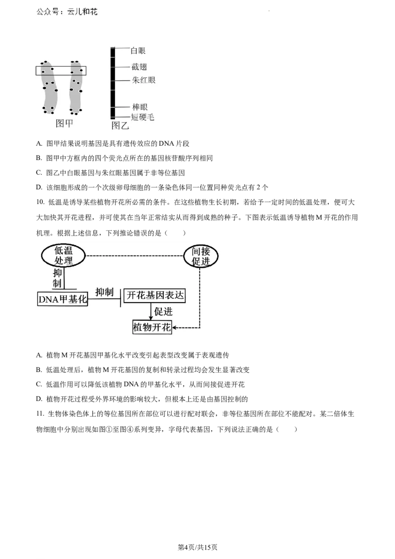 山东省泰安市2023-2024学年高一下学期7月期末考试生物试题_2024-2025高一（7-7月题库）_2024年8月试卷_0804山东省泰安市2023-2024学年高一下学期期末考试