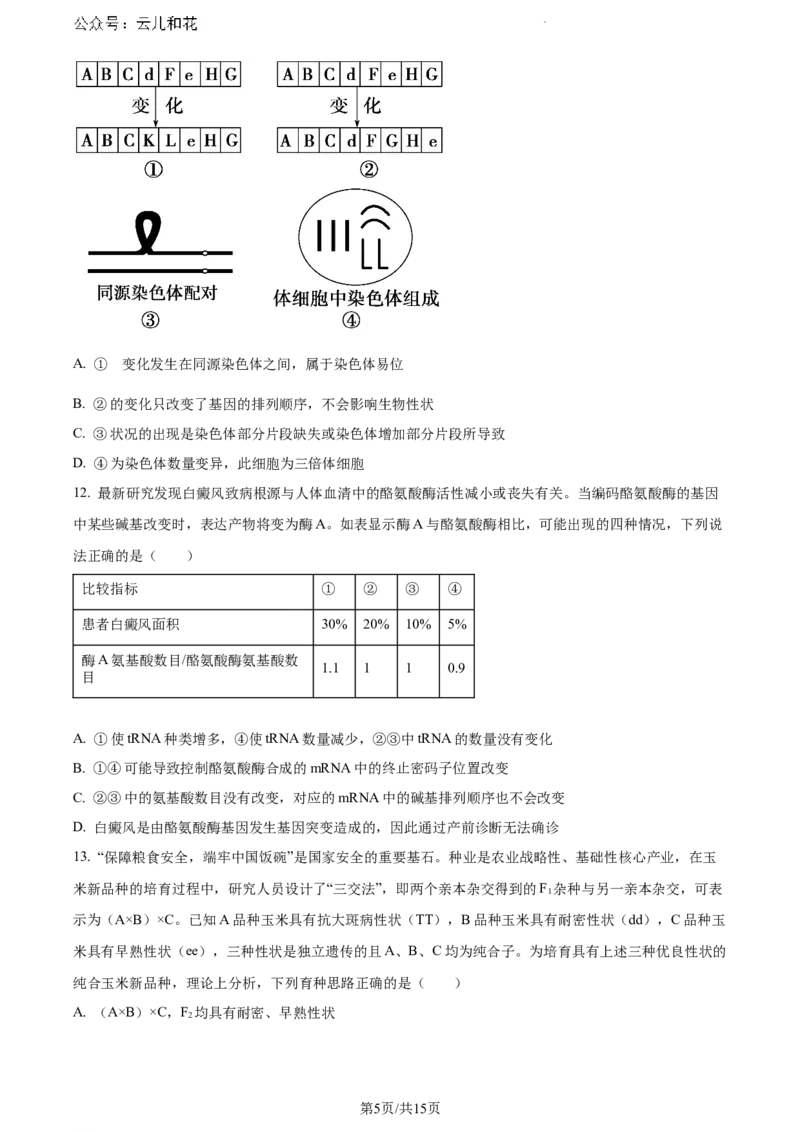 山东省泰安市2023-2024学年高一下学期7月期末考试生物试题_2024-2025高一（7-7月题库）_2024年8月试卷_0804山东省泰安市2023-2024学年高一下学期期末考试