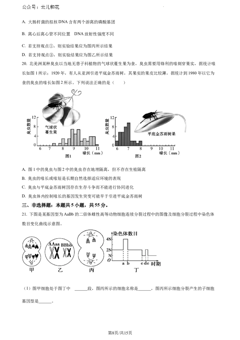 山东省泰安市2023-2024学年高一下学期7月期末考试生物试题_2024-2025高一（7-7月题库）_2024年8月试卷_0804山东省泰安市2023-2024学年高一下学期期末考试