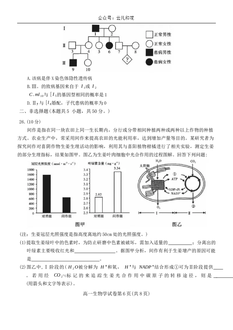 四川省内江市2023-2024学年高一下学期期末考试生物试题_2024-2025高一（7-7月题库）_2024年8月试卷_0824四川省内江市2023-2024学年高一下学期期末考试