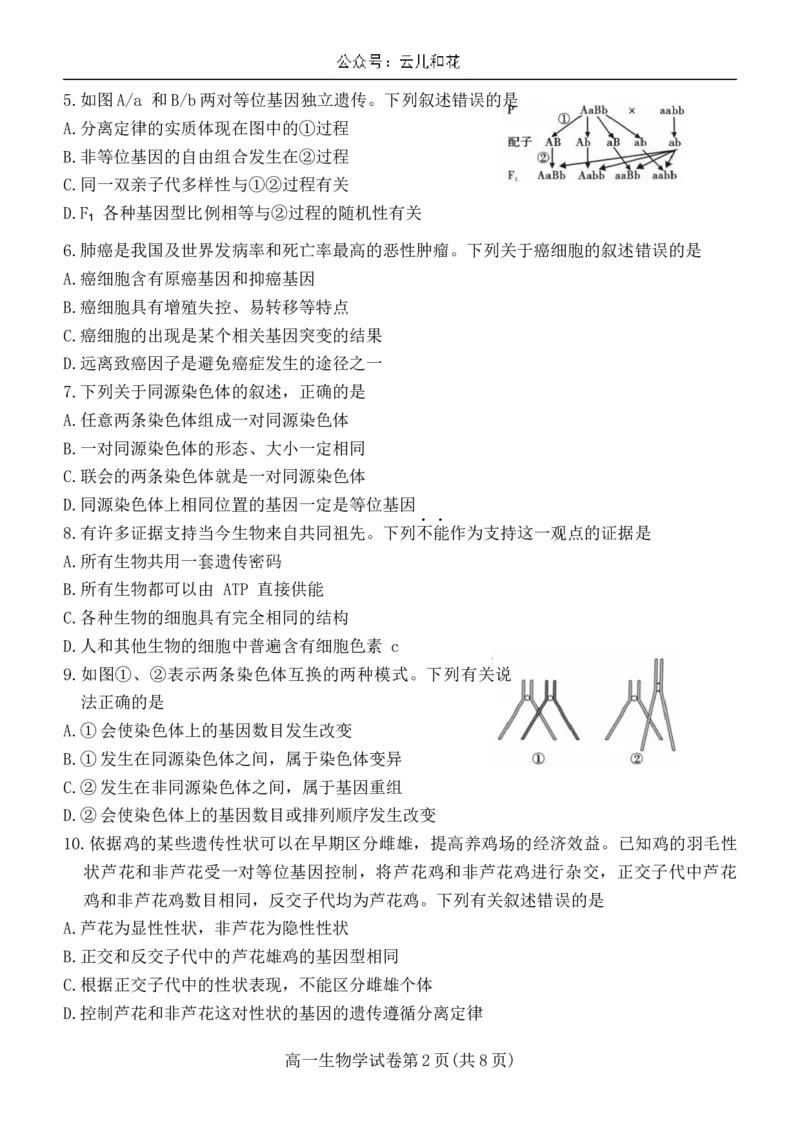 四川省内江市2023-2024学年高一下学期期末考试生物试题_2024-2025高一（7-7月题库）_2024年8月试卷_0824四川省内江市2023-2024学年高一下学期期末考试