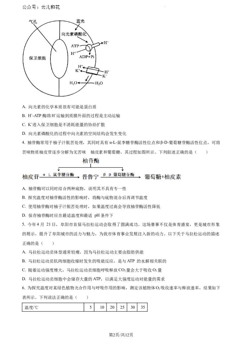 安徽省阜阳市2023-2024学年高一下学期期末考试生物试题_2024-2025高一（7-7月题库）_2024年7月试卷_0729安徽省阜阳市2023-2024学年高一下学期期末考试(金太阳568A)