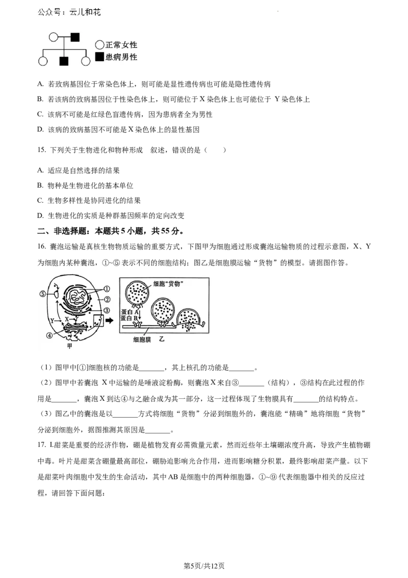 安徽省阜阳市2023-2024学年高一下学期期末考试生物试题_2024-2025高一（7-7月题库）_2024年7月试卷_0729安徽省阜阳市2023-2024学年高一下学期期末考试(金太阳568A)