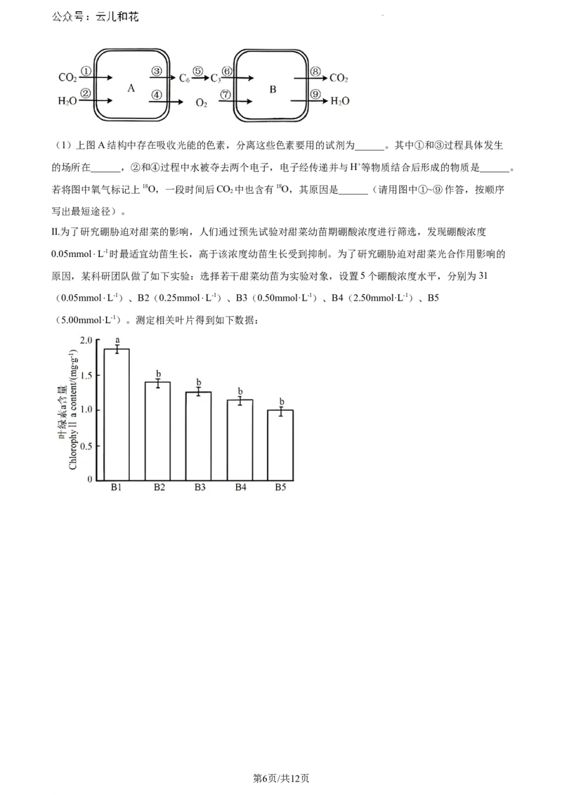 安徽省阜阳市2023-2024学年高一下学期期末考试生物试题_2024-2025高一（7-7月题库）_2024年7月试卷_0729安徽省阜阳市2023-2024学年高一下学期期末考试(金太阳568A)
