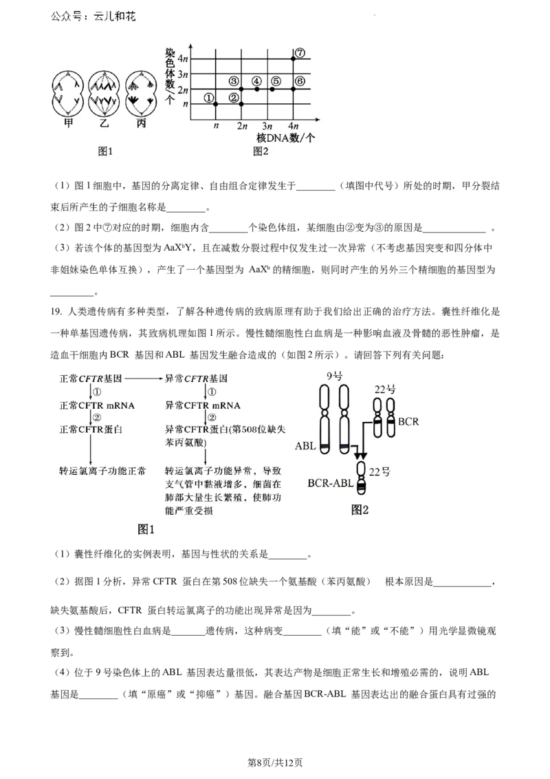 安徽省阜阳市2023-2024学年高一下学期期末考试生物试题_2024-2025高一（7-7月题库）_2024年7月试卷_0729安徽省阜阳市2023-2024学年高一下学期期末考试(金太阳568A)