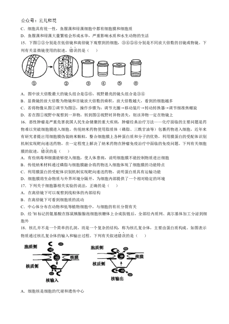 河北省保定市六校联盟2024-2025学年高一上学期11月期中联考生物试题（含答案）_2024-2025高一（7-7月题库）_2024年11月试卷_1114河北省保定市六校联盟2024-2025学年高一上学期11月期中