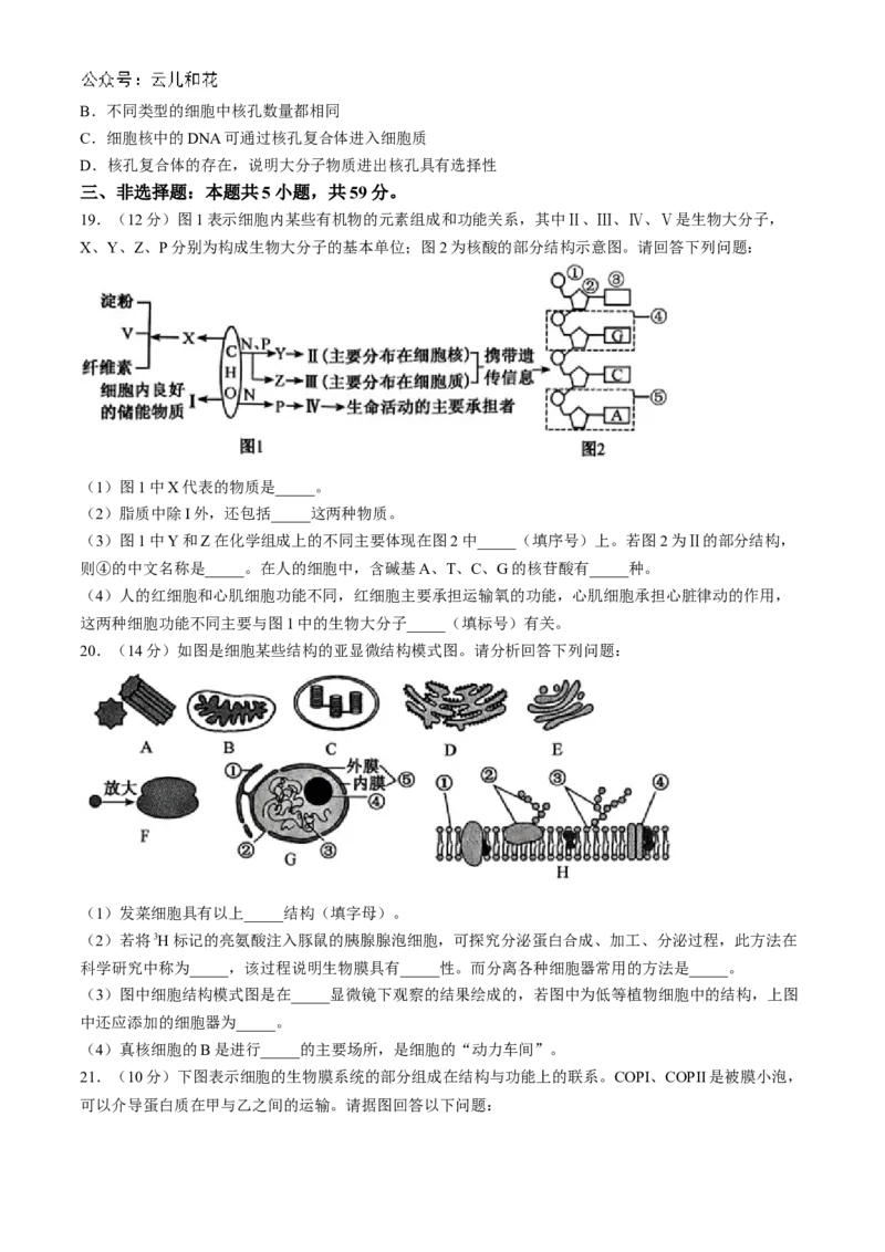 河北省保定市六校联盟2024-2025学年高一上学期11月期中联考生物试题（含答案）_2024-2025高一（7-7月题库）_2024年11月试卷_1114河北省保定市六校联盟2024-2025学年高一上学期11月期中