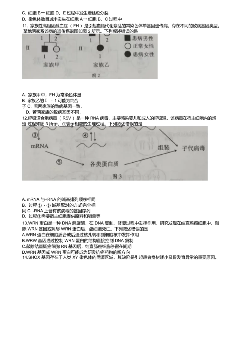 广东省韶关市2024-2025学年高一下学期期末教学质量检测生物试卷（含答案）_2024-2025高一（7-7月题库）_2025年7月_250705广东省韶关市2024-2025学年高一下学期期末考试