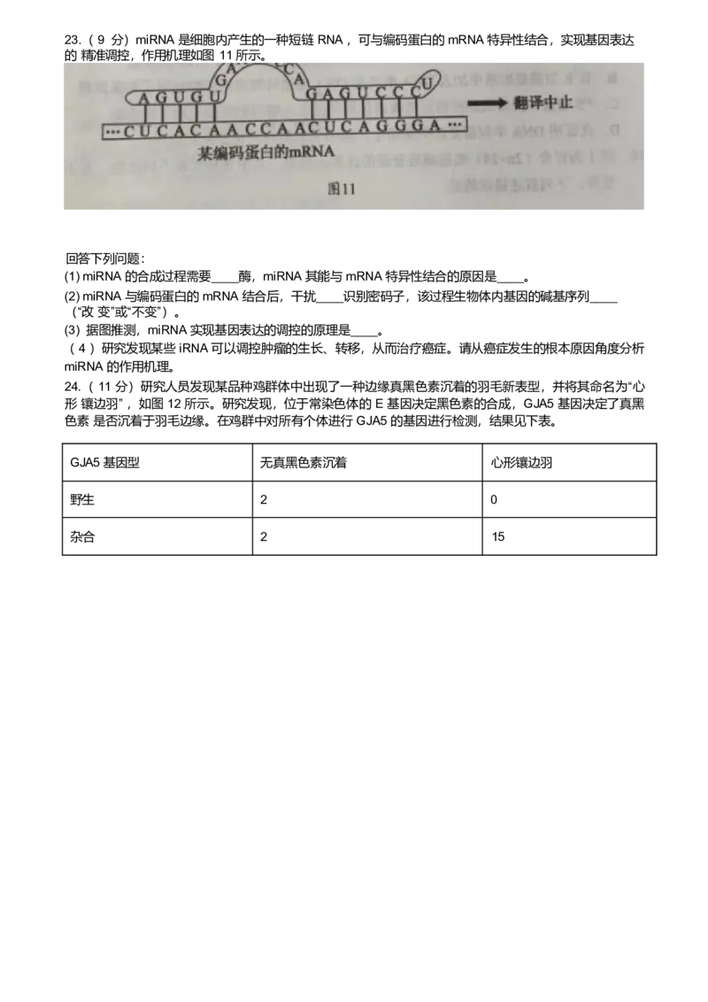 广东省韶关市2024-2025学年高一下学期期末教学质量检测生物试卷（含答案）_2024-2025高一（7-7月题库）_2025年7月_250705广东省韶关市2024-2025学年高一下学期期末考试