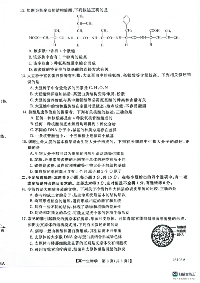 山东省菏泽市鄄城县第一中学2024-2025学年高一上学期10月月考生物试题_2024-2025高一（7-7月题库）_2024年10月试卷_1024山东省菏泽市鄄城县第一中学2024-2025学年高一上学期10月月考