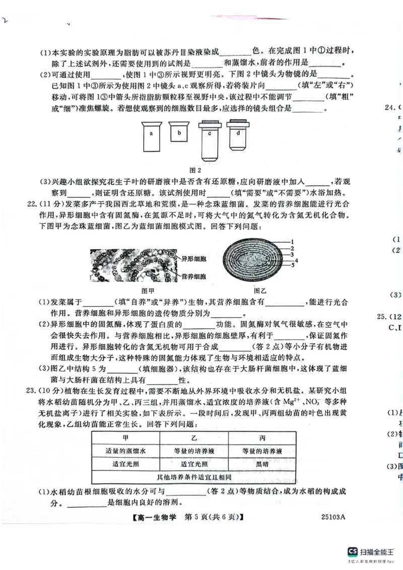 山东省菏泽市鄄城县第一中学2024-2025学年高一上学期10月月考生物试题_2024-2025高一（7-7月题库）_2024年10月试卷_1024山东省菏泽市鄄城县第一中学2024-2025学年高一上学期10月月考
