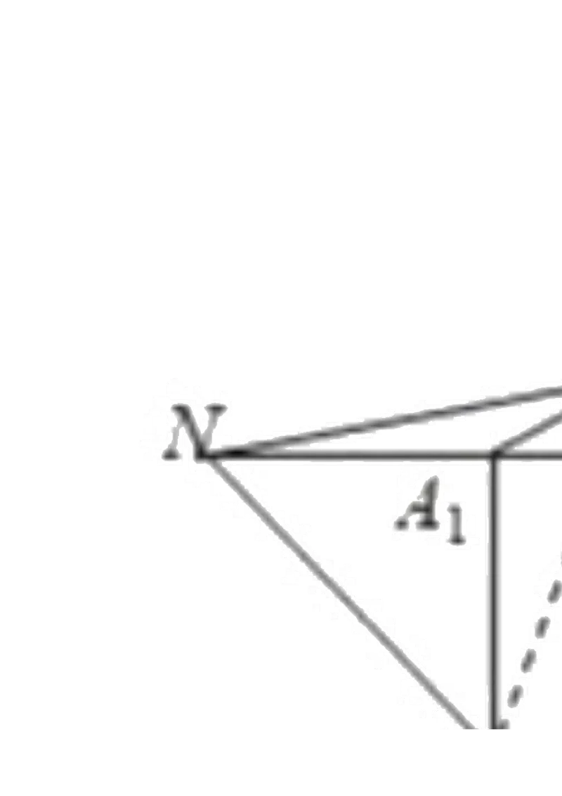 专题03空间向量的应用（解析版）_E015高中全科试卷_数学试题_选修1_06.专项练习_专题03空间向量的应用-高中数学新教材人教A版选择性必修配套提升训练