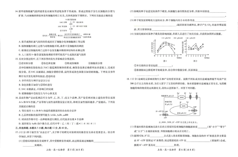 江西省上饶市六校2024-2025学年高一下学期第一次联合考试（5月）生物试卷（图片版，含解析）_2024-2025高一（7-7月题库）_2025年6月7.10新增