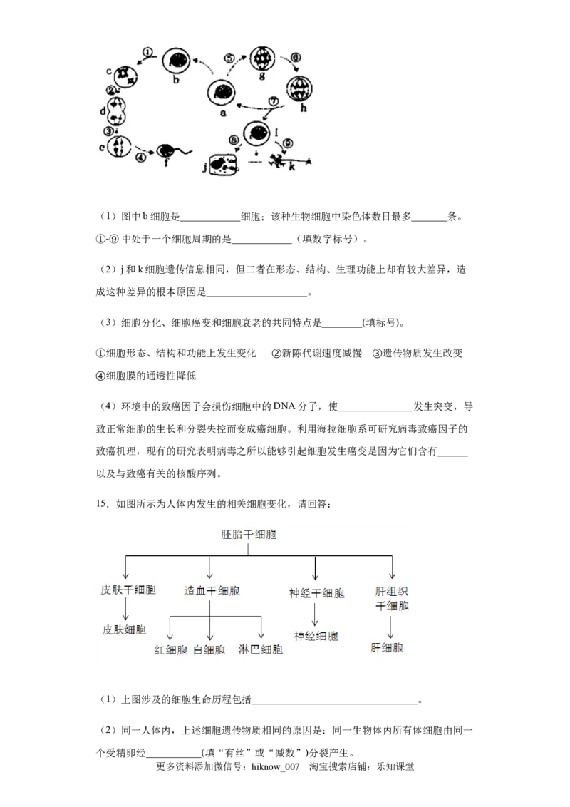 6.2细胞的分化练习新教材人教版（2019）高中生物必修一（含思维导图）_E015高中全科试卷_生物试题_必修1_2.同步练习_4.同步练习（第四套）