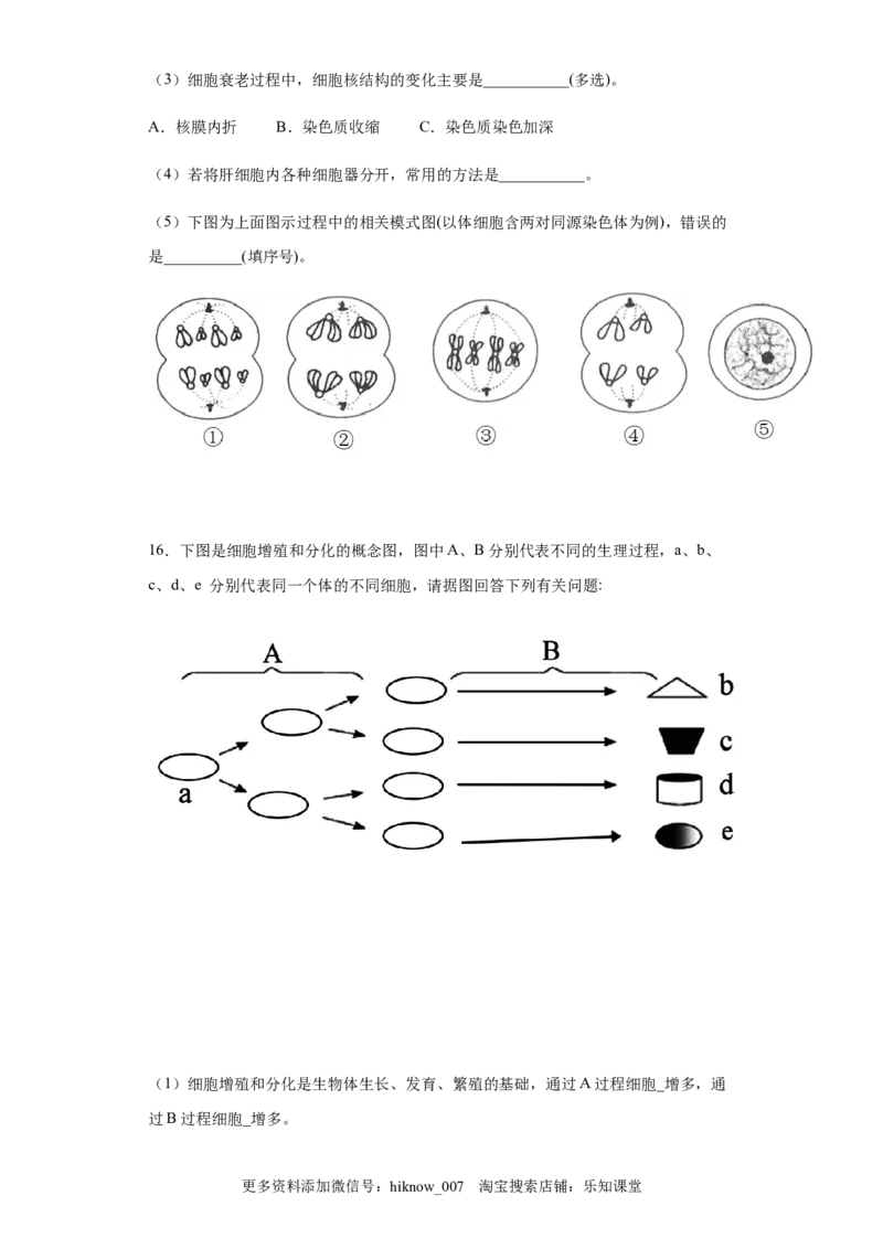6.2细胞的分化练习新教材人教版（2019）高中生物必修一（含思维导图）_E015高中全科试卷_生物试题_必修1_2.同步练习_4.同步练习（第四套）