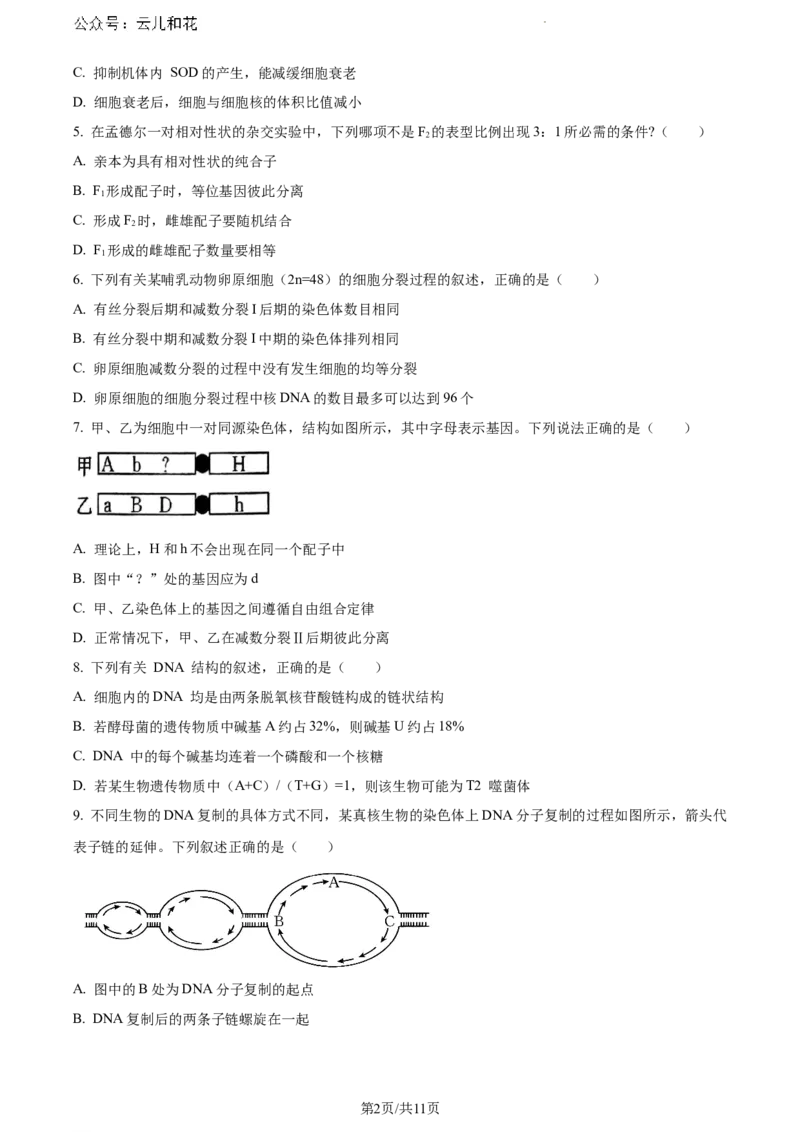 内蒙古自治区巴彦淖尔市2023-2024学年高一下学期7月期末生物试题_2024-2025高一（7-7月题库）_2024年7月试卷_0727内蒙古自治区巴彦淖尔市2023-2024学年高一下学期期末考试（金太阳612A）
