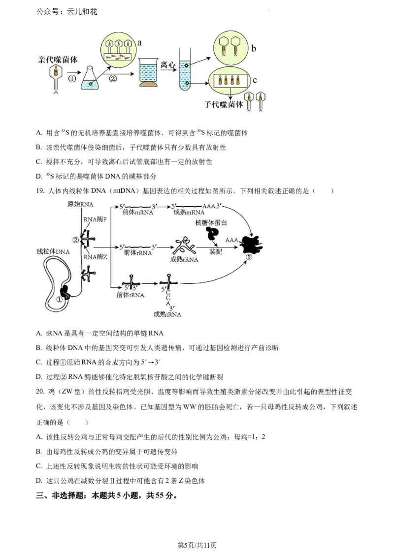 内蒙古自治区巴彦淖尔市2023-2024学年高一下学期7月期末生物试题_2024-2025高一（7-7月题库）_2024年7月试卷_0727内蒙古自治区巴彦淖尔市2023-2024学年高一下学期期末考试（金太阳612A）