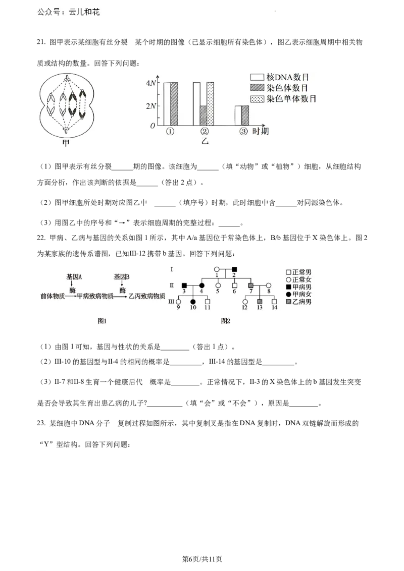 内蒙古自治区巴彦淖尔市2023-2024学年高一下学期7月期末生物试题_2024-2025高一（7-7月题库）_2024年7月试卷_0727内蒙古自治区巴彦淖尔市2023-2024学年高一下学期期末考试（金太阳612A）