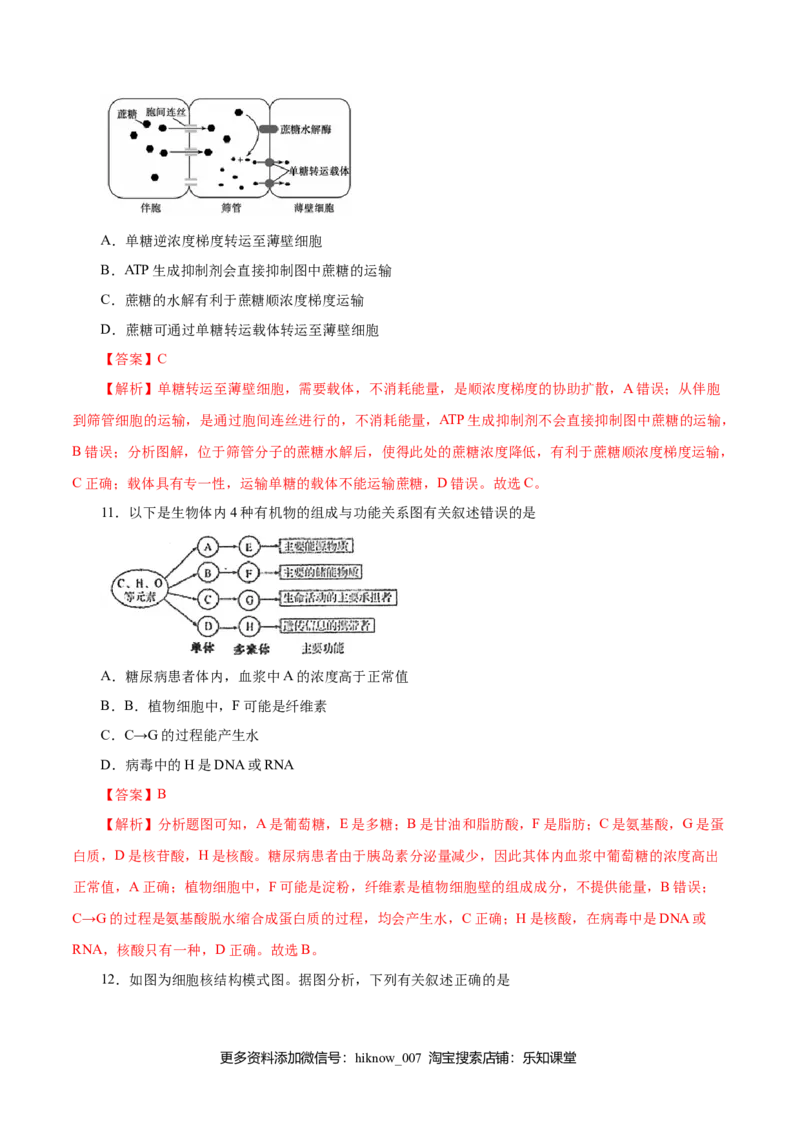 人教版必修1期末（A卷基础过关检测）-高考生物一轮复习单元滚动双测卷（新高考地区专用）（解析版）_E015高中全科试卷_生物试题_必修1_1.单元测试_3.单元测试（第三套）