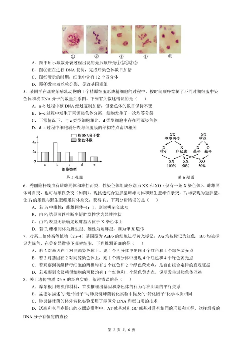 安徽省智学联考2024-2025学年高一下学期7月期末考试生物试卷(图片版含详解)_2024-2025高一（7-7月题库）_2025年7月_250716安徽省智学联考2024-2025学年高一下学期7月期末考试