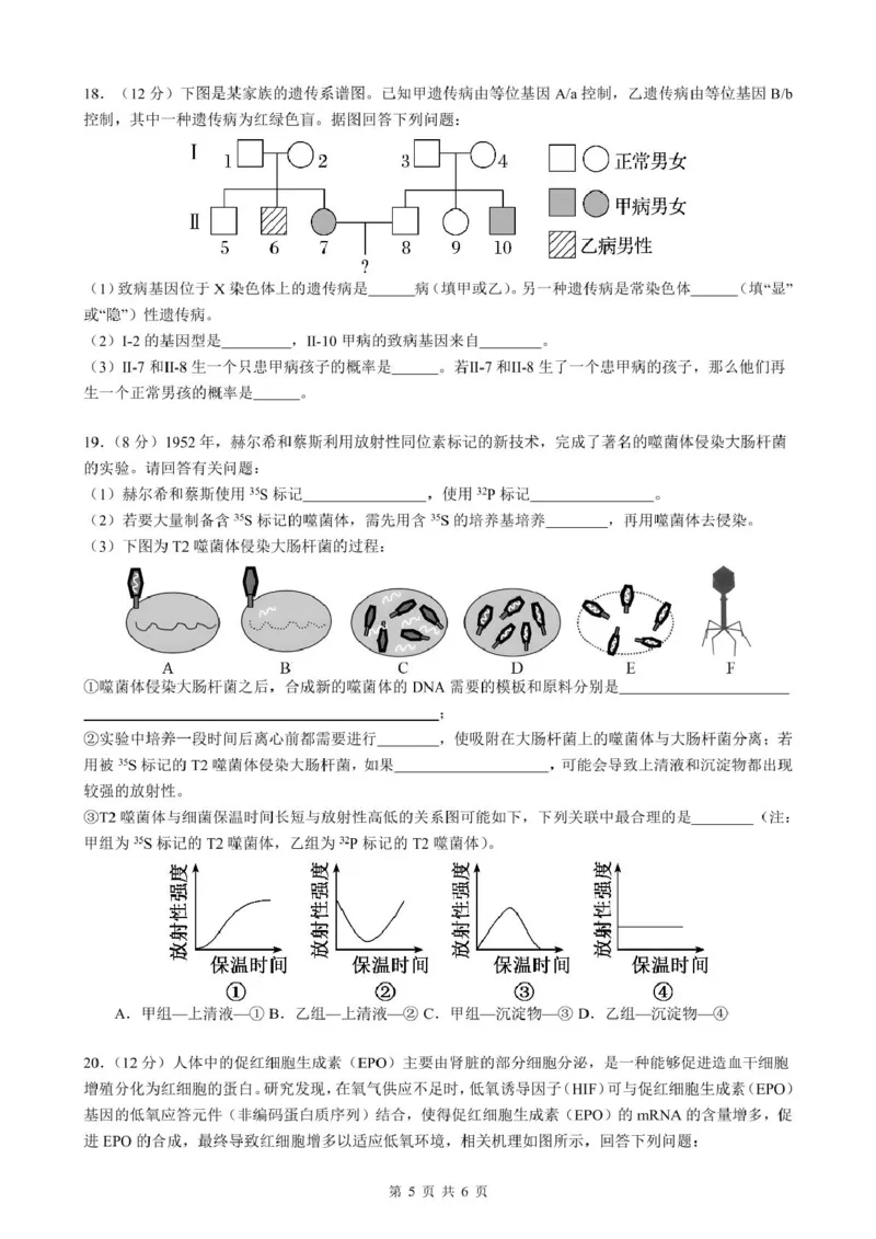 安徽省智学联考2024-2025学年高一下学期7月期末考试生物试卷(图片版含详解)_2024-2025高一（7-7月题库）_2025年7月_250716安徽省智学联考2024-2025学年高一下学期7月期末考试