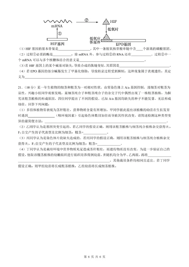 安徽省智学联考2024-2025学年高一下学期7月期末考试生物试卷(图片版含详解)_2024-2025高一（7-7月题库）_2025年7月_250716安徽省智学联考2024-2025学年高一下学期7月期末考试