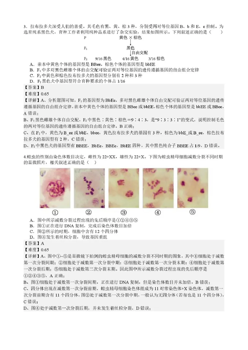 安徽省智学联考2024-2025学年高一下学期7月期末考试生物试卷(图片版含详解)_2024-2025高一（7-7月题库）_2025年7月_250716安徽省智学联考2024-2025学年高一下学期7月期末考试