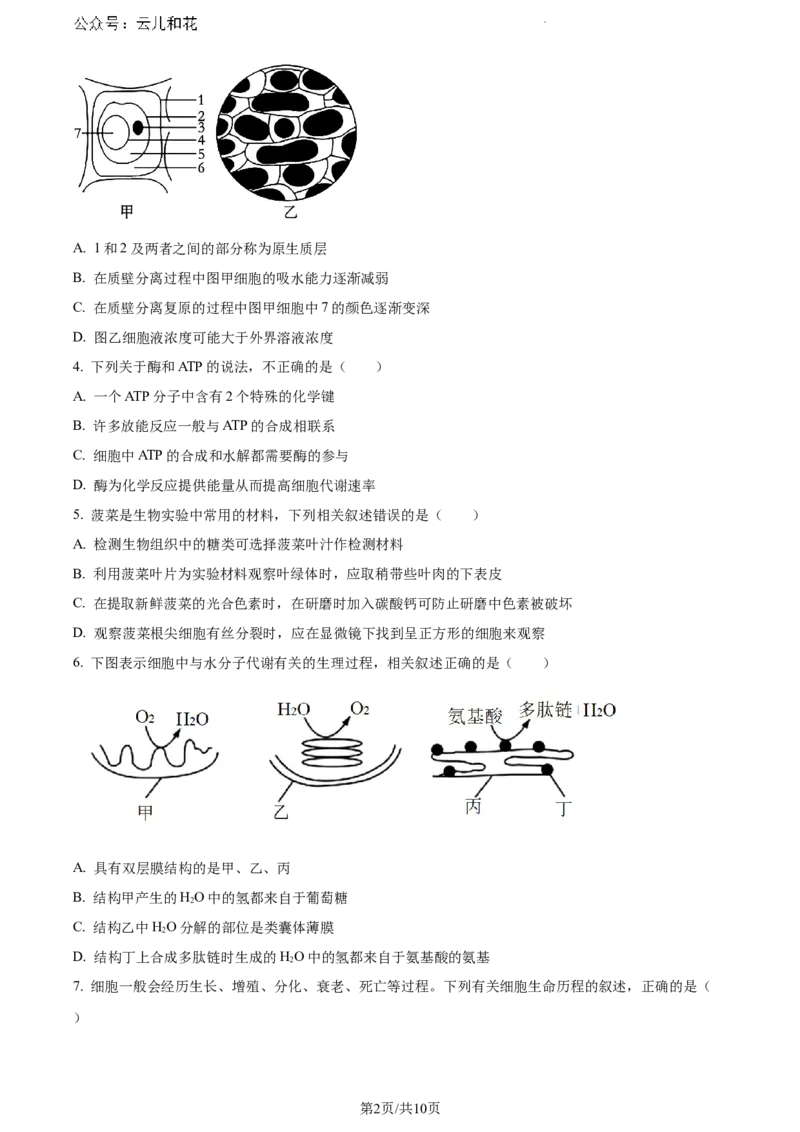 广西玉林市2023-2024学年高一下学期期末教学质量监测生物试题_2024-2025高一（7-7月题库）_2024年7月试卷_0729广西来宾市玉林市2023-2024学年高一下学期期末教学质量监测