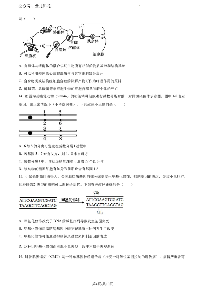 广西玉林市2023-2024学年高一下学期期末教学质量监测生物试题_2024-2025高一（7-7月题库）_2024年7月试卷_0729广西来宾市玉林市2023-2024学年高一下学期期末教学质量监测