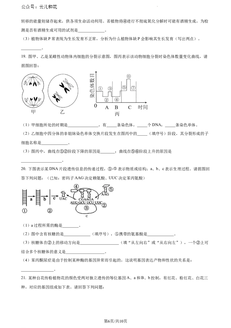 广西玉林市2023-2024学年高一下学期期末教学质量监测生物试题_2024-2025高一（7-7月题库）_2024年7月试卷_0729广西来宾市玉林市2023-2024学年高一下学期期末教学质量监测
