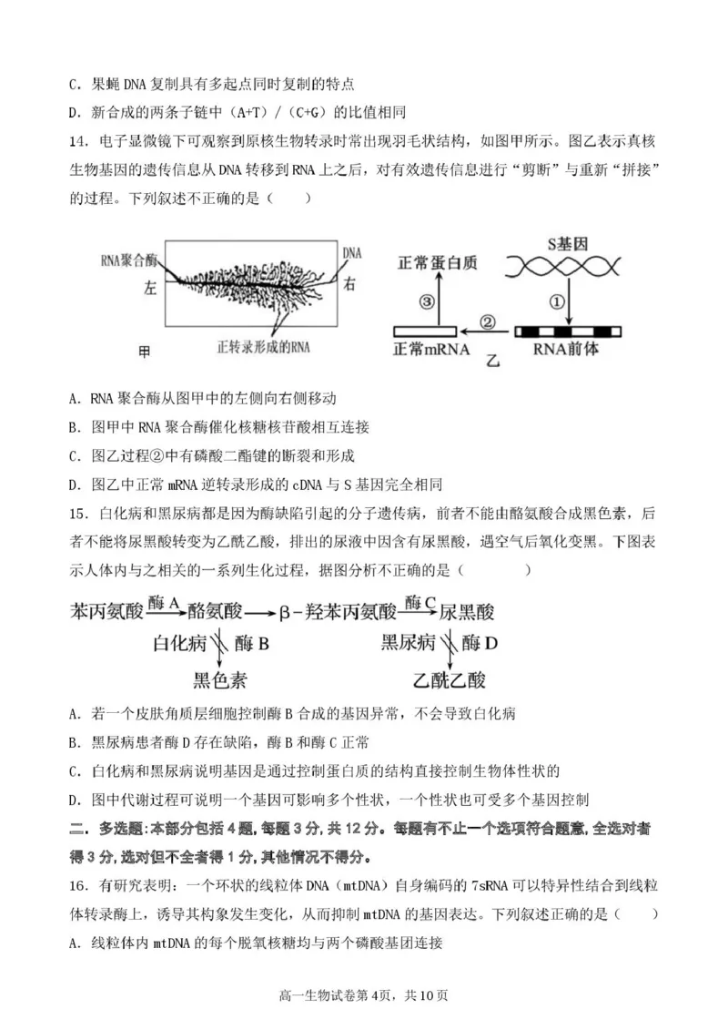 江苏省盐城市五校2024-2025学年高一下学期5月期中生物试卷（扫描版，含答案）_2024-2025高一（7-7月题库）_2025年05月试卷_0520江苏省盐城市五校2024-2025学年高一下学期5月期中