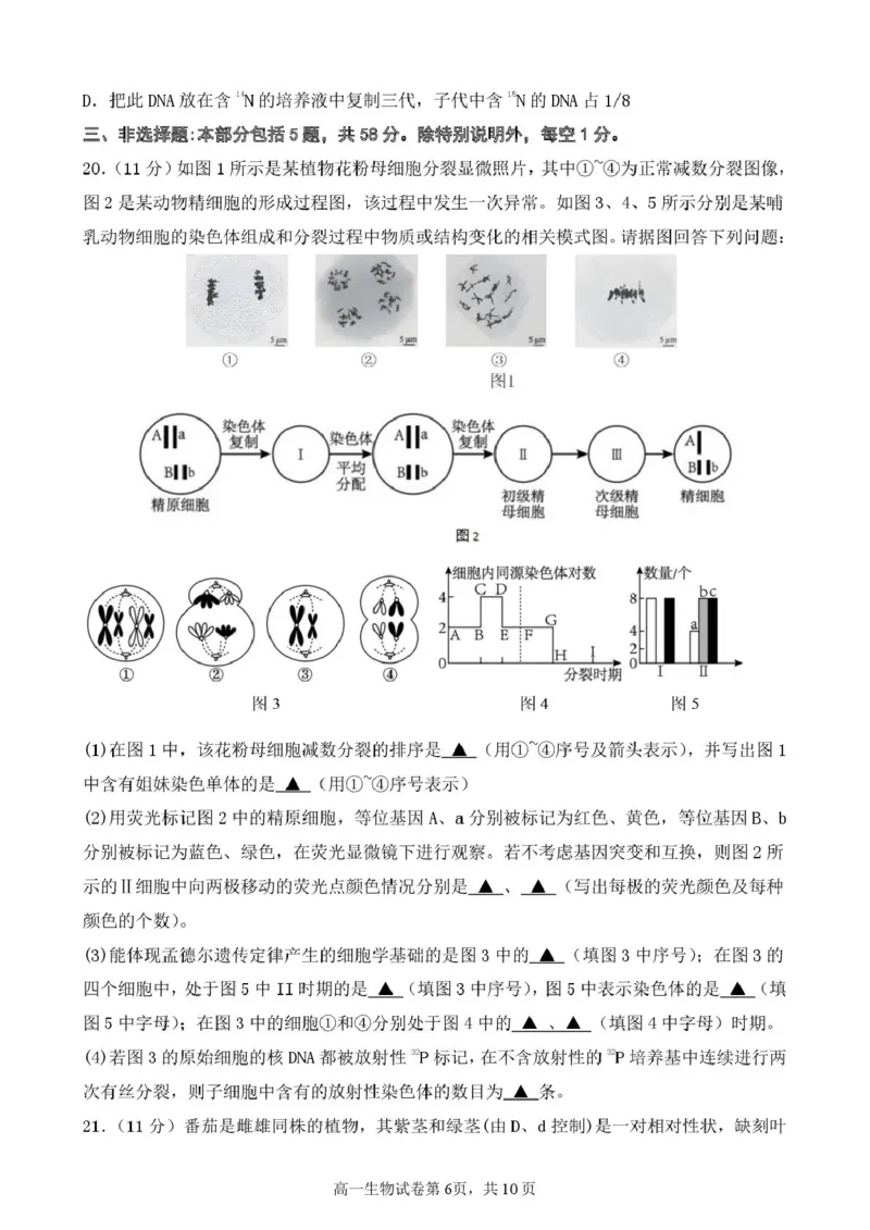 江苏省盐城市五校2024-2025学年高一下学期5月期中生物试卷（扫描版，含答案）_2024-2025高一（7-7月题库）_2025年05月试卷_0520江苏省盐城市五校2024-2025学年高一下学期5月期中