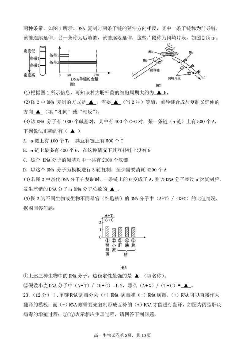 江苏省盐城市五校2024-2025学年高一下学期5月期中生物试卷（扫描版，含答案）_2024-2025高一（7-7月题库）_2025年05月试卷_0520江苏省盐城市五校2024-2025学年高一下学期5月期中