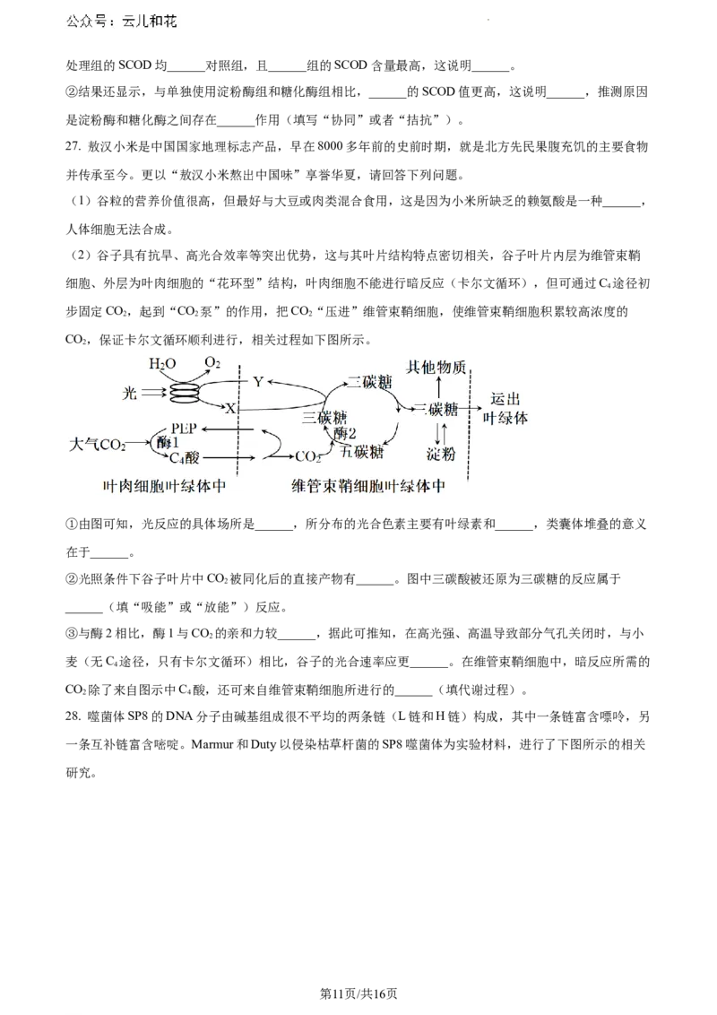 内蒙古自治区赤峰市2023-2024学年高一下学期7月期末生物试题_2024-2025高一（7-7月题库）_2024年7月试卷_0724内蒙古自治区赤峰市2023-2024学年高一下学期期末联考