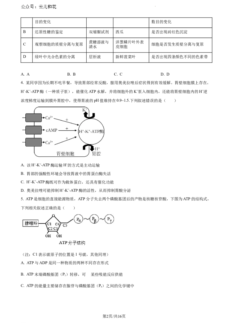 内蒙古自治区赤峰市2023-2024学年高一下学期7月期末生物试题_2024-2025高一（7-7月题库）_2024年7月试卷_0724内蒙古自治区赤峰市2023-2024学年高一下学期期末联考