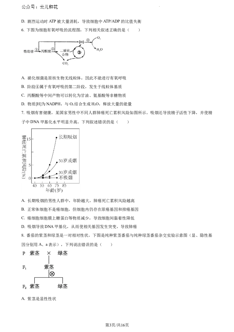 内蒙古自治区赤峰市2023-2024学年高一下学期7月期末生物试题_2024-2025高一（7-7月题库）_2024年7月试卷_0724内蒙古自治区赤峰市2023-2024学年高一下学期期末联考