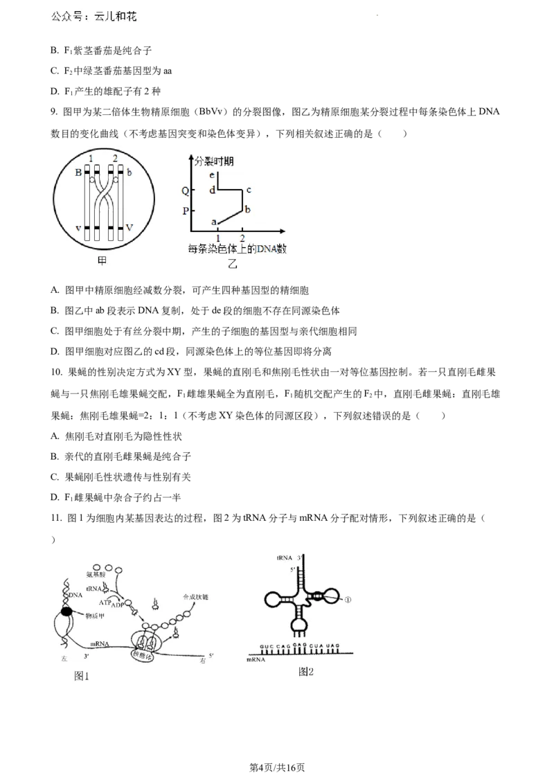 内蒙古自治区赤峰市2023-2024学年高一下学期7月期末生物试题_2024-2025高一（7-7月题库）_2024年7月试卷_0724内蒙古自治区赤峰市2023-2024学年高一下学期期末联考