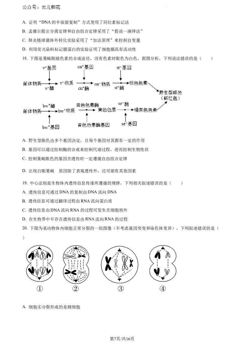 内蒙古自治区赤峰市2023-2024学年高一下学期7月期末生物试题_2024-2025高一（7-7月题库）_2024年7月试卷_0724内蒙古自治区赤峰市2023-2024学年高一下学期期末联考